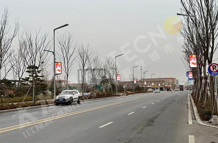 LED燈桿屏,燈桿屏 LED燈桿屏,燈桿屏