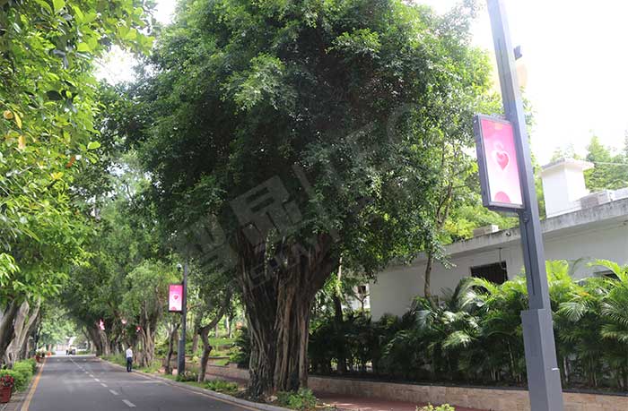 led燈桿屏|智慧燈桿屏|led廣告機(jī)|智慧路燈屏|戶外LED廣告機(jī)|燈桿屏|智慧燈桿|智慧路燈